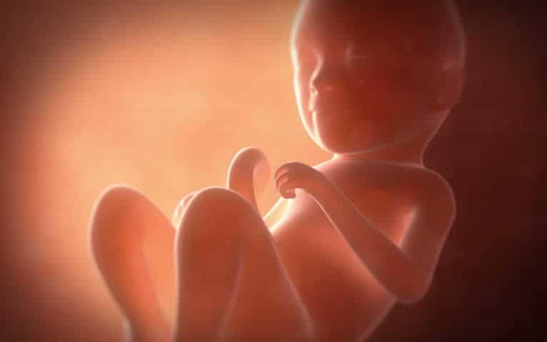 Fetal Pain Is a Reason to End Abortion: Scientific Fact