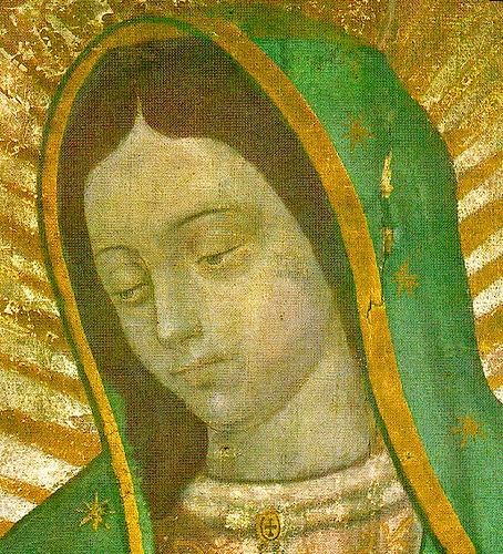 The Patroness Of The Unborn Our Lady Of Guadalupe