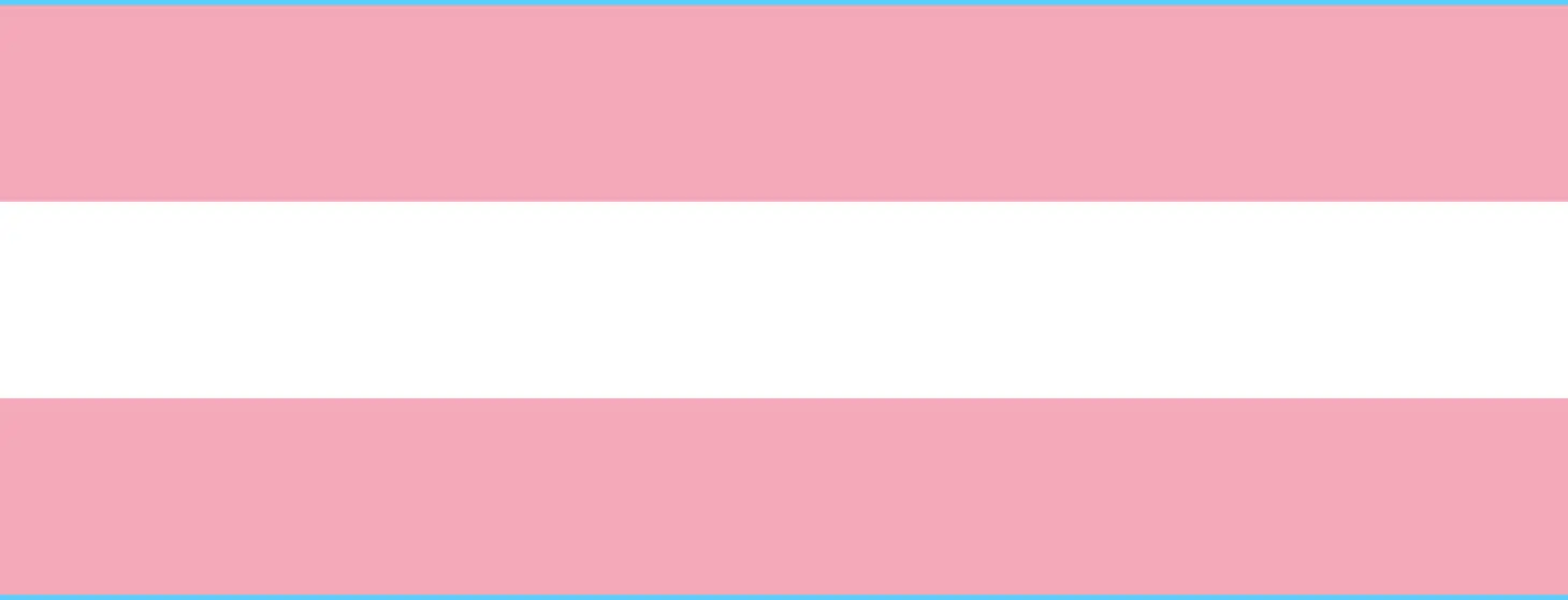 transgender flag