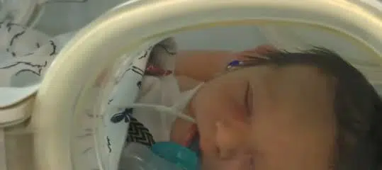 Baby in a hospital incubator