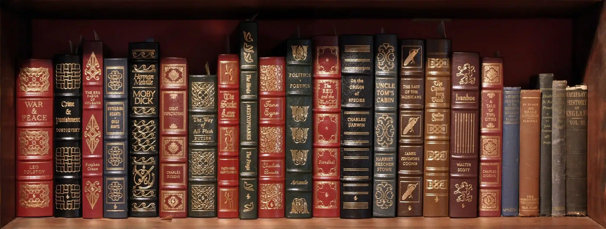 bookshelf with classic books